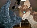 Zodiacon 2012 352.jpg